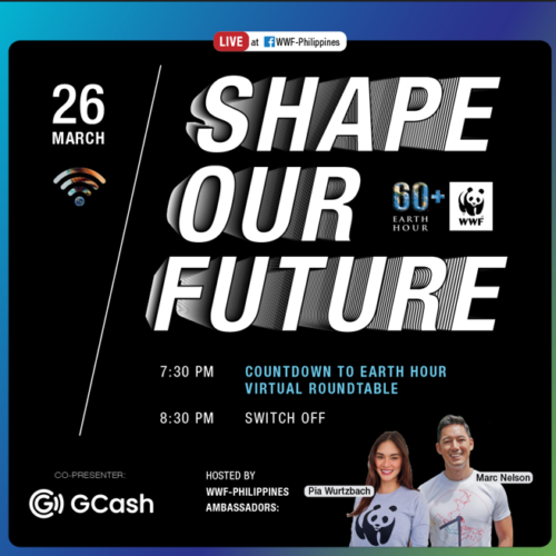 <h1> Earth Hour 2022 encourages Filipinos to vote for the environment's future
</h1>
<p style="text-align: right;"><a href="https://archive.wwf.org.ph/resource-center/story-archives-2022/earth-hour-2022-encourages-filipinos-to-vote-for-the-environments-future/">Read More ></a></p>