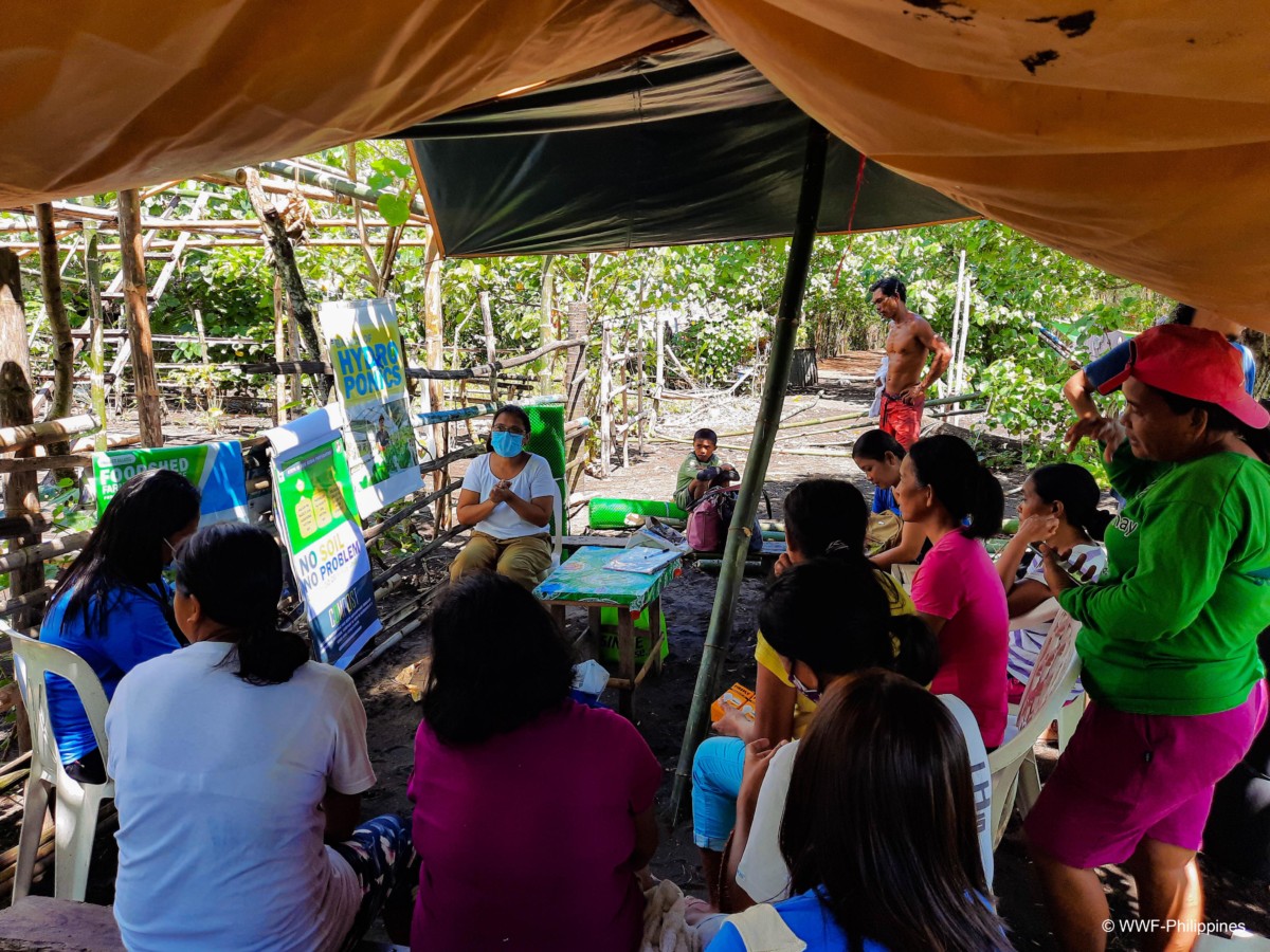 WWF-Philippines | Food Sheds Rise in Bicol Fishing Communities in Quest ...