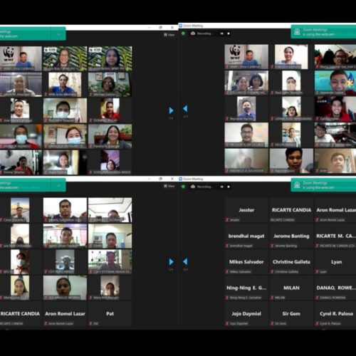 <h1>Quezon City Teachers trained on Climate Change and Education for Sustainable Development (ESD)</h1>
<p style="text-align: right;"><a href="https://archive.wwf.org.ph/what-we-do/climate/our-city-2030/quezon-city-teachers-trained-on-climate-change-and-education-for-sustainable-development-esd/" target="_blank" rel="noopener noreferrer">Read More ></a>