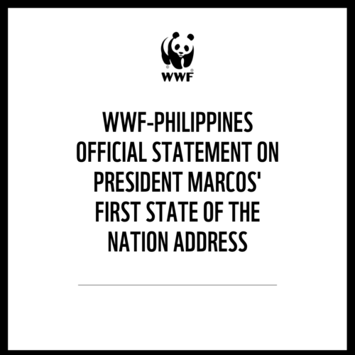 <h1>WWF-Philippines official statement on President Marcos' first State of the Nation Address</h1>
<p style="text-align: right;"><a href="https://archive.wwf.org.ph/resource-center/story-archives-2022/wwf-philippines-official-statement-on-president-marcos-first-state-of-the-nation-address/">Read More ></a></p>