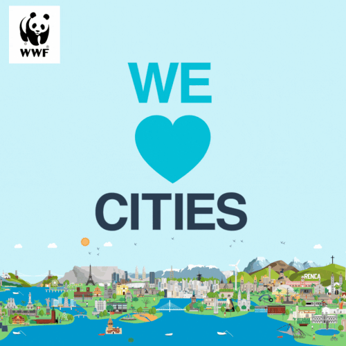 <h1>Davao City, Dipolog City, and Quezon City are this year’s Philippine flagbearers in the latest leg of WWF’s We Love Cities</h1>
<p style="text-align: right;"><a href="https://archive.wwf.org.ph/resource-center/story-archives-2022/davao-city-dipolog-city-and-quezon-city-are-this-years-philippine-flagbearers-in-the-latest-leg-of-wwfs-we-love-cities/" target="_blank" rel="noopener noreferrer">Read More ></a></p>