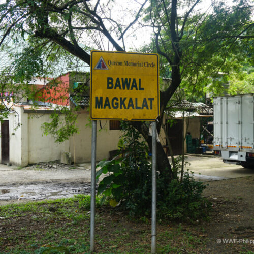 <h1>Trace Your Share: Quezon City</h1>
<p style="text-align: right;"><a href="https://archive.wwf.org.ph/resource-center/story-archives-2022/trace-your-share-quezon-city/">Read More ></a></p>