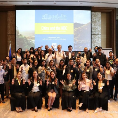 <h1>OPCC 2022 Assists Philippine Cities to Enhance NDC Implementation
</h1>
<p style="text-align: right;"><a href="https://archive.wwf.org.ph/resource-center/story-archives-2022/opcc-2022-assists-philippine-cities-to-enhance-ndc-implementation/">Read More ></a></p>