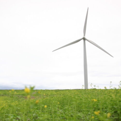 <h1>WWF-Philippines’ Corporates for a Better Planet Initiative invites private entities to operate more sustainably amidst the climate crisis</h1><p style="text-align: right;"><a href="https://archive.wwf.org.ph/resource-center/story-archives-2023/wwf-philippines-corporates-for-a-better-planet-initiative-invites-private-entities-to-operate-more-sustainably-amidst-the-climate-crisis/">Read More ></a></p>
