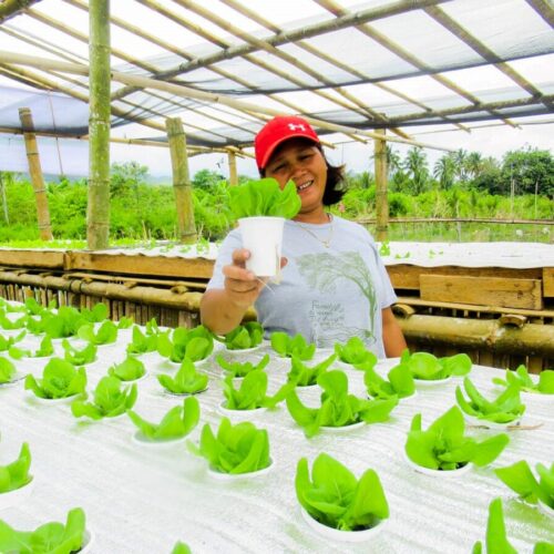 <h1>WWF-Philippines, BPI Foundation provide climate risk assessments and livelihood programs for vulnerable communities through years of collaboration
</h1>
<p style="text-align: right;"><a href="https://archive.wwf.org.ph/resource-center/story-archives-2023/wwf-philippines-bpi-foundation-provide-climate-risk-assessments-and-livelihood-programs-for-vulnerable-communities-through-years-of-collaboration/">Read More ></a></p>