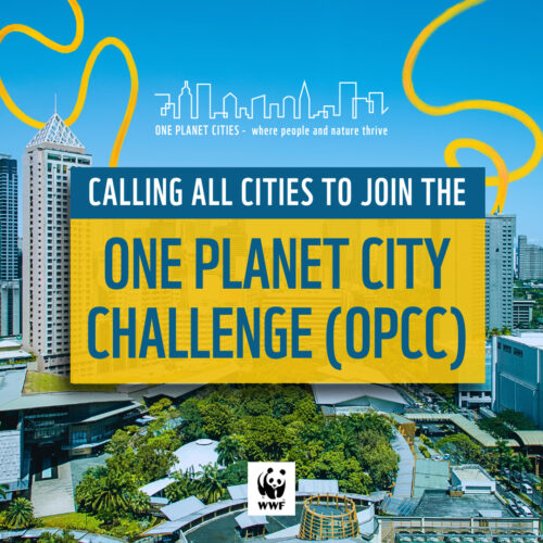 <h1>WWF’s longest running competition for sustainable cities opens for 2023</h1>
<p style="text-align: right;"><a href="https://archive.wwf.org.ph/what-we-do/food/projectbuhay/wwfs-longest-running-competition-for-sustainable-cities-opens-for-2023/">Read More ></a></p>