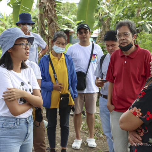 <h1>Uniting Against Plastic: Community Action in the Philippines</h1></p>
<p style="text-align: right;"><a href="https://archive.wwf.org.ph/resource-center/story-archives-2023/uniting-against-plastic-community-action-in-the-philippines/">Read More ></a></p>
