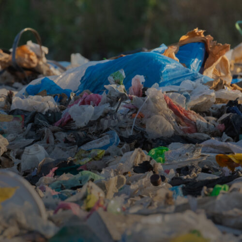 <h1>WWF calls for a global ban on ‘harmful and unnecessary’ single-use plastic items, such as vapes, cutlery and cosmetic microplastics, ahead of key UN plastic pollution treaty talks</h1></p>
<p style="text-align: right;"><a href="https://archive.wwf.org.ph/resource-center/story-archives-2023/wwf-calls-for-a-global-ban-on-harmful-and-unnecessary-single-use-plastic-items-such-as-vapes-cutlery-and-cosmetic-microplastics-ahead-of-key-un-plastic-pollution-treaty-talks/">Read More ></a></p>
