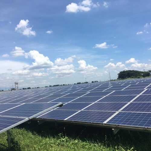 <h1>Growth of renewable energy hampered by long permitting process, lack of promotions and incentives: WWF-Philippines report
</h1></p>
<p style="text-align: right;"><a href="https://archive.wwf.org.ph/resource-center/story-archives-2023/growth-of-renewable-energy-hampered-by-long-permitting-process-lack-of-promotions-and-incentives-wwf-philippines-report/">Read More ></a></p>