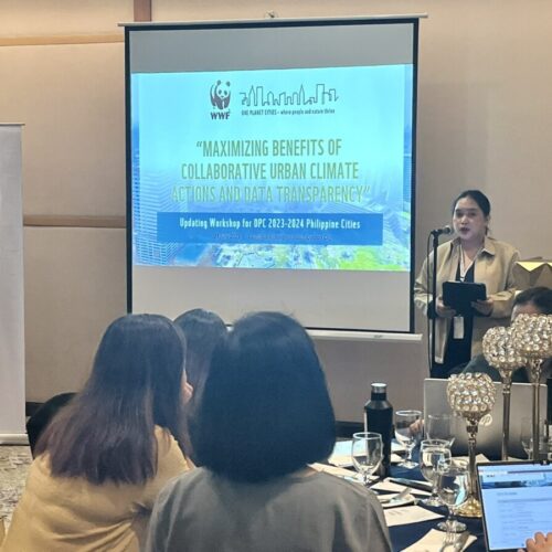<h1>15 Philippine cities strengthen their journey for urban climate action in WWF’s One Planet City Challenge 2023-2024</h1></p>
<p style="text-align: right;"><a href="https://archive.wwf.org.ph/resource-center/story-archives-2023/15-philippine-cities-strengthen-their-journey-for-urban-climate-action-in-wwfs-one-planet-city-challenge-2023-2024/">Read More ></a></p>