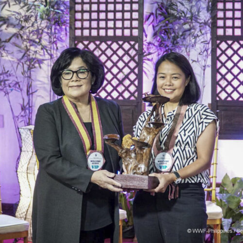 <h1>No Plastics in Nature celebrates five years of milestones</h1></p>
<p style="text-align: right;"><a href="https://archive.wwf.org.ph/resource-center/story-archives-2023/no-plastics-in-nature-celebrates-five-years-of-milestones/">Read More ></a></p>