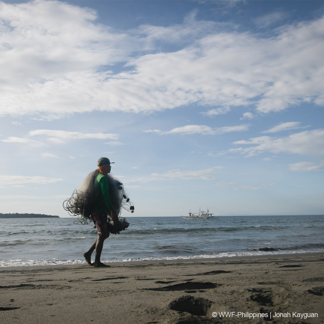 <h1>Data-Driven Community Interventions</h1></p>
<p style="text-align: right;"><a href="https://archive.wwf.org.ph/sustainabletuna/story/prospects-challenges-and-the-road-ahead-ceesam-analysis-sets-the-stage-for-project-buhay-interventions-in-occidental-mindoro/">Read More ></a></p>