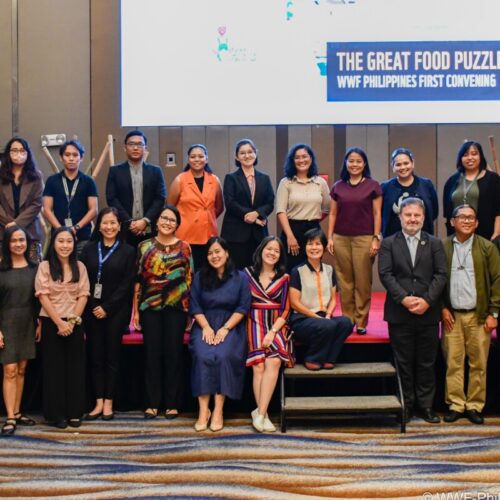 <h1>WWF-Philippines holds first convening for Great Food Puzzle 2.0 (GFP 2.0) study
</h1></p>
<p style="text-align: right;"><a href="https://archive.wwf.org.ph/resource-center/story-archives-2023/wwf-philippines-holds-first-convening-for-great-food-puzzle-2-0-gfp-2-0-study/">Read More ></a></p>