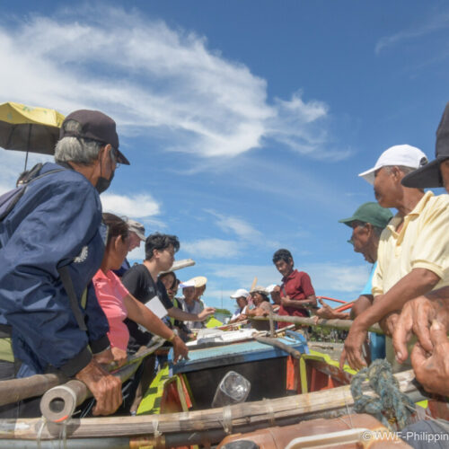 <h1>WWF-Philippines Holds Food Safety Trainings to Combat Tuna Post-Harvest Loss</h1></p>
<p style="text-align: right;"><a href="https://archive.wwf.org.ph/sustainabletuna/story/wwf-philippines-holds-food-safety-trainings-to-combat-tuna-post-harvest-loss/">Read More ></a></p>
