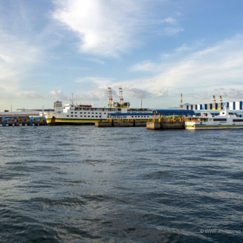 <h1>From research to action: How the Port of Batangas in the Philippines walks the talk to tackle plastic pollution</h1>
<p style="text-align: right;"><a href="https://archive.wwf.org.ph/resource-center/story-archives-2023/from-research-to-action-how-the-port-of-batangas-in-the-philippines-walks-the-talk-to-tackle-plastic-pollution/">Read More ></a></p>