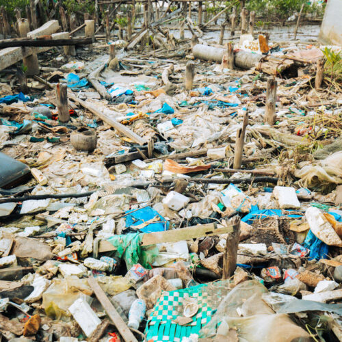 <h1>Lifetime cost of plastic 10 times higher for low-income countries than rich ones, revealing crippling inequities in plastics value chain</h1>
<p style="text-align: right;"><a href="https://archive.wwf.org.ph/resource-center/story-archives-2023/lifetime-cost-of-plastic-10-times-higher-for-low-income-countries-than-rich-ones-revealing-crippling-inequities-in-plastics-value-chain/">Read More ></a></p>