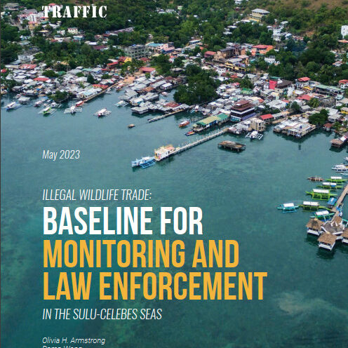 <a target="_blank" href="https://archive.wwf.org.ph/wp-content/uploads/2023/05/Illegal-Wildlife-Trade-Baseline-for-Monitoring-Law-Enforcement-in-the-Sulu-Celebes-Seas.pdf" rel="noopener noreferrer"><h3>Illegal Wildlife Trade: Baseline for Monitoring Law Enforcement in the Sulu-Celebes Seas</h3></a>
<p>WWF-Philippines</p>